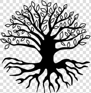 Tree With Deep Roots Png Clip Art   Yoga Tree Pose Drawing  Transparent Png