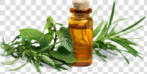 Essential Oil   Essential Oils Png  Transparent Png
