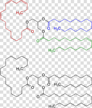 Fat Oil Chemical Structure V   Verderb Von Fetten Chemie  HD Png Download