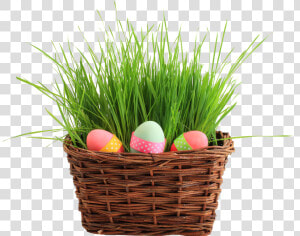 Easter Basket Png Transparent Picture   Easter Basket Png  Png Download
