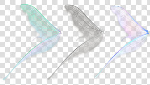 Dust Png Fairy Dust Png Fairy   Side View Fairy Wings Png  Transparent Png