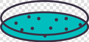 Petri Dish Png   Circle  Transparent Png