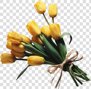 Bouquet Of Flowers   Transparent Flower Bunch Png  Png Download