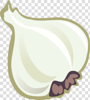 Garlic Svg Clip Arts   Garlic Clip Art  HD Png Download