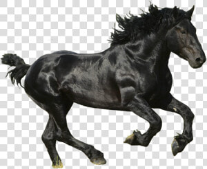 Lil Nas X Old Town Road Album  HD Png Download