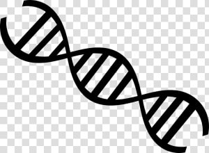 Clip Art Nucleic Acid Double Helix   Dna Strand Black And White  HD Png Download