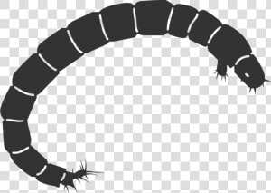 Mosquito Larvae Clipart Transparent  HD Png Download
