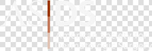 Asds update  HD Png Download