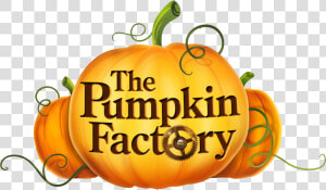Transparent Pumpkin Vines Clipart   Pumpkin Factory  HD Png Download