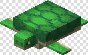 Turtle   Minecraft Turtle Transparent  HD Png Download