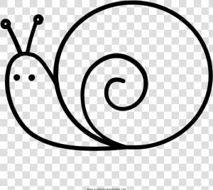 Caracol Página Para Colorear   Clipart Black And White Images Of Snail  HD Png Download