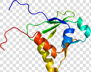 Protein Iqgap1 Pdb 1x0h  HD Png Download