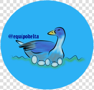 Arte 1   Duck  HD Png Download