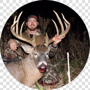 Wtr Tim   Elk  HD Png Download