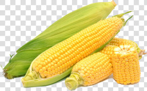 Corn On The Cob Maize Sweet Corn   Corn Png  Transparent Png