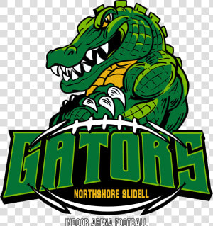 Gator Logo Green   Gators Logo  HD Png Download