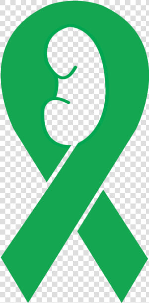Green Ribbon Kidney Disease  HD Png Download