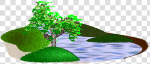 Pond  Lake  Nature  Grass  Natural  Tree  Scenery   Png Download Small Images Nature  Transparent Png
