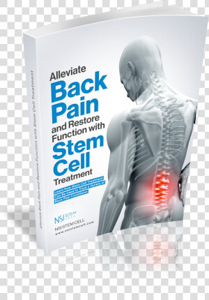 Back Pain Ebook   Porsche Design Blackberry  HD Png Download