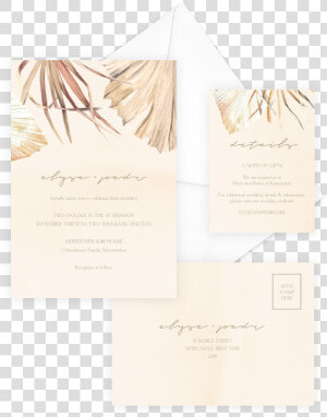 Sandy Palm  HD Png Download