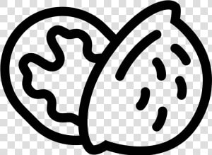 Nutshell Icon  HD Png Download