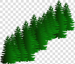Evergreen Cluster Clip Art   Vector Pine Tree Png  Transparent Png