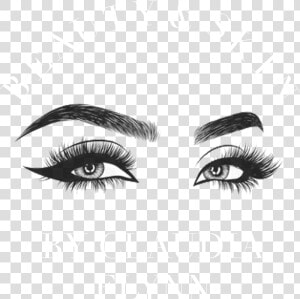 Eyebrow And Lashes Drawing  HD Png Download
