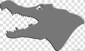 Clipartblack Com Animal Free   Gator Transparent  HD Png Download
