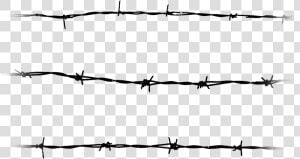 Колючая Проволока На Белом Фоне  HD Png Download