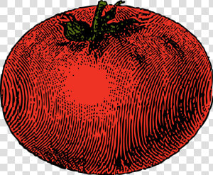 Tomato Clip Arts   Vintage Tomato Clip Art  HD Png Download
