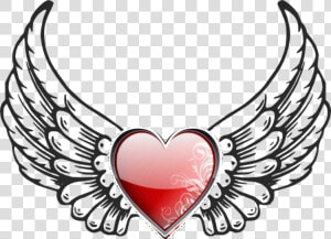 Angel Wings Clipart   Png Download   Angel Wings  Transparent Png