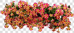 American Flowers Image Png   Png Download   Petunia Png  Transparent Png