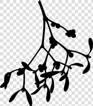 Mistletoe Silhouette Clip Arts   Mistletoe Png  Transparent Png