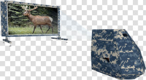 Cyrus Targets Deer   Reindeer  HD Png Download