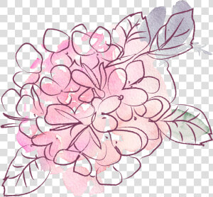 Cropped Glitter Doodles   Watercolor Hydrangea Png  Transparent Png