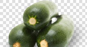 Zucchini   Png Download  Transparent Png