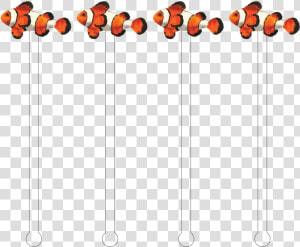 Clownfish Png  Transparent Png