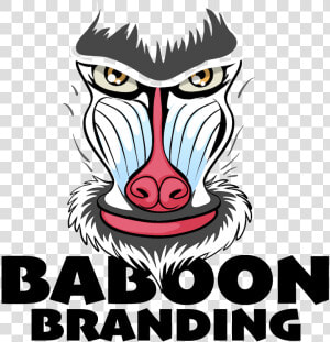 Baboon  HD Png Download