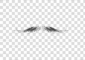 Eyelash Extensions  HD Png Download
