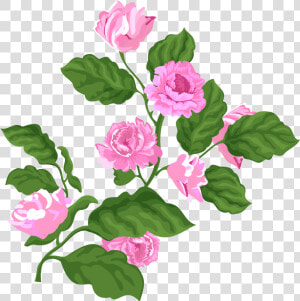 Rose Pink Valentine Plant Png And Vector Image   รูป ดอก กุหลาบ สีชมพู  Transparent Png
