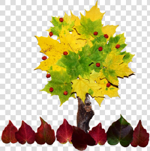 Cool Tree Cliparts 12  Buy Clip Art   Collage De Un Arbol  HD Png Download