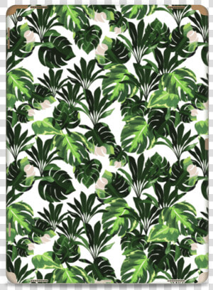 Hojas Verdes Vinilo Ipad Pro   Apple  HD Png Download