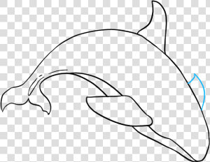 How To Draw Orca  HD Png Download