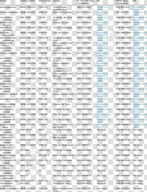 Parallel  HD Png Download
