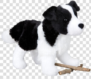 Douglas Border Collie  HD Png Download