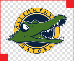 Allegheny College Gators Logo  HD Png Download