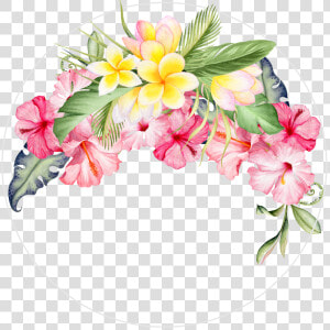 Hibiscus Wedding Bouquet Hibiscus Wedding Bouquet   Frangipani And Hibiscus Flowers  HD Png Download