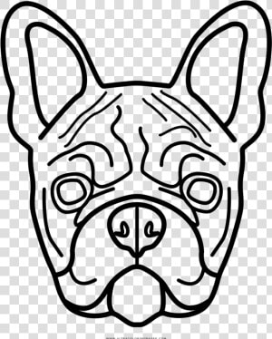 Coloring Pages Free Download   French Bulldog Coloring Pages  HD Png Download