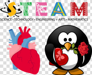 Image Of Steam Graphic With An Image Of An Anatomical  HD Png Download