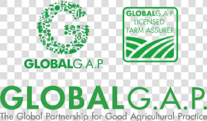 Certificazioni Global Gap Logo   Globalgap  HD Png Download